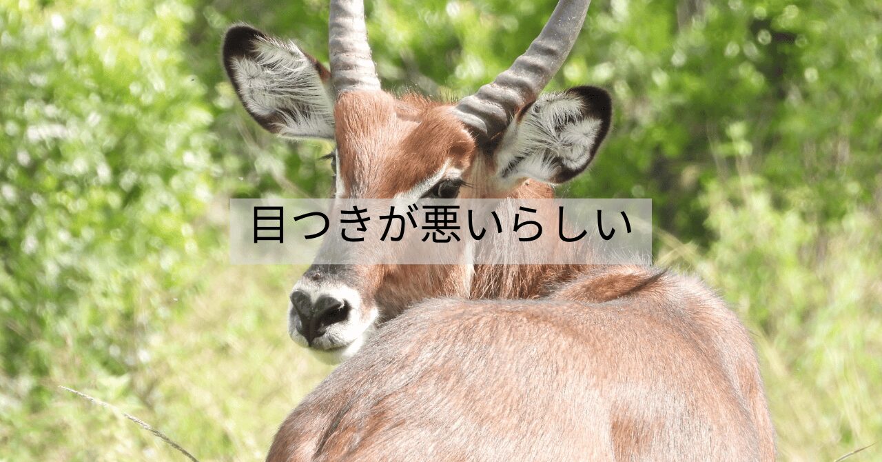 目つきが悪いらしい｜無視された理由があとからわかった話